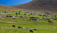 The Village, Hirta.